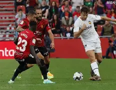 哈兰德为啥不能参加世界杯